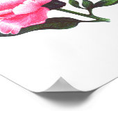 Peony Flower Illustration Pen Tekening Poster (Hoek)