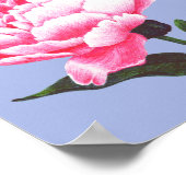 Peony Flower Illustration Pen Tekening Poster (Hoek)