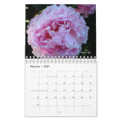 Peony Flower Kalender (Feb 2027)