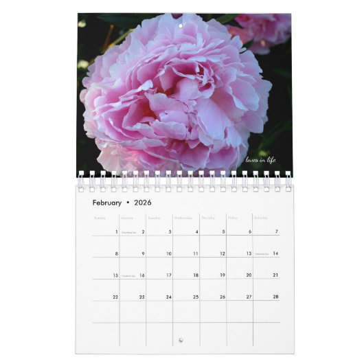 Peony Flower Kalender (Feb 2026)