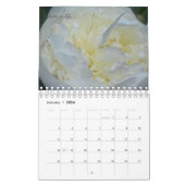 Peony Flower Kalender (Jan 2026)
