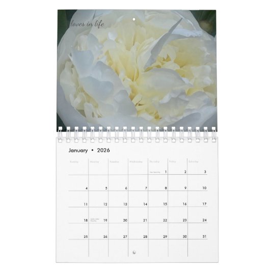 Peony Flower Kalender (Jan 2026)