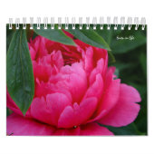 Peony Flower Kalender (Hoes)