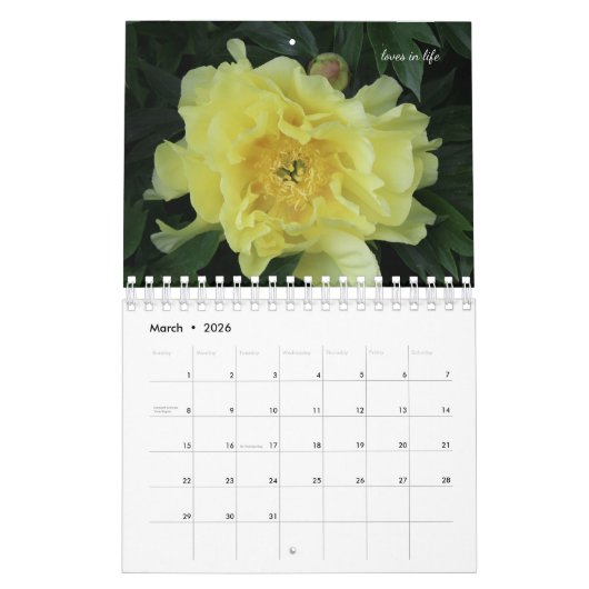 Peony Flower Kalender (Mar 2026)