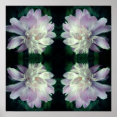 Peony Flower Natuur Abstract Poster (Voorkant)