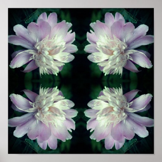 Peony Flower Natuur Abstract Poster (Voorkant)
