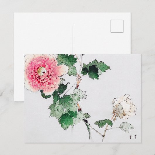 Peony Flower, Watanabe Seitei Briefkaart (Voorkant / Achterkant)