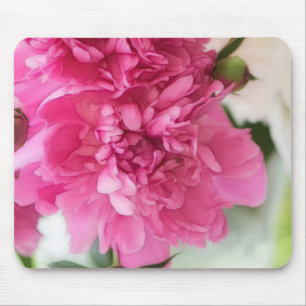 Peony Flowers Close-up Sketch Muismat