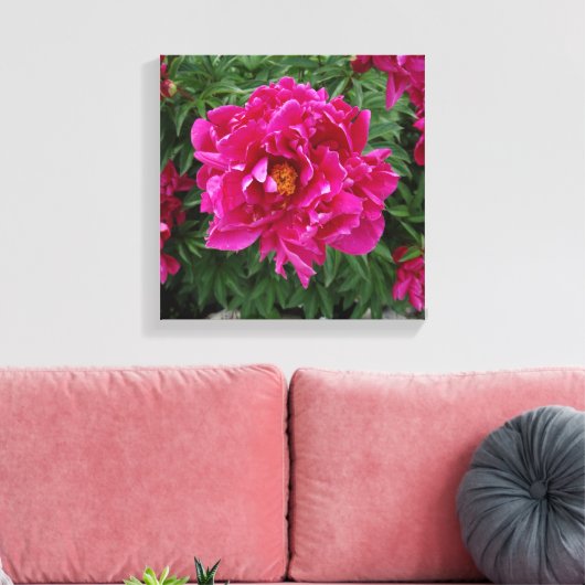 Peony Fotoprint Canvas (Insitu (Woonkamer))