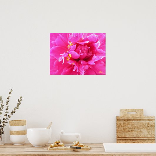 Peony in Bloom Poster (Keuken)