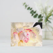 Peony in Morning Light Briefkaart (Staand voorkant)