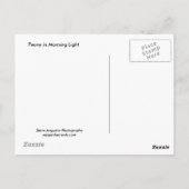 Peony in Morning Light Briefkaart (Achterkant)