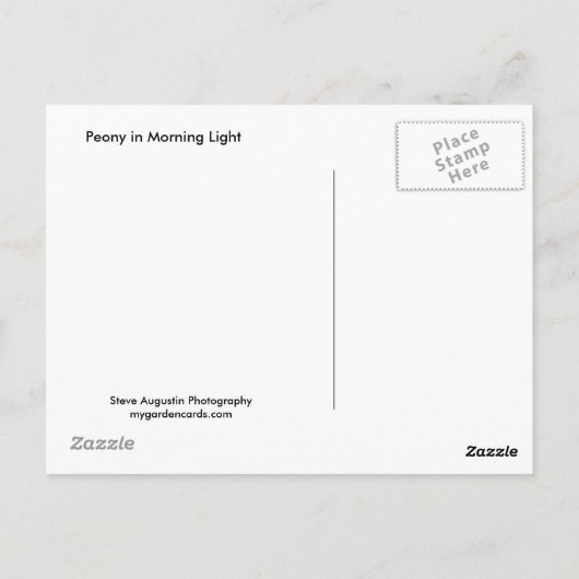 Peony in Morning Light Briefkaart (Achterkant)