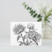 Peony-inkttekening Briefkaart (Staand voorkant)