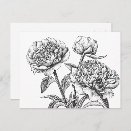 Peony-inkttekening Briefkaart (Voorkant / Achterkant)