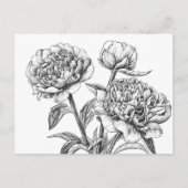 Peony-inkttekening Briefkaart (Voorkant)
