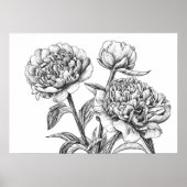 Peony-inkttekening Poster (Voorkant)