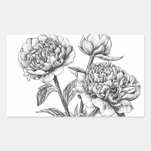Peony-inkttekening Rechthoekige Sticker (Voorkant)