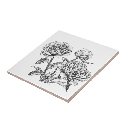 Peony-inkttekening Tegeltje (Zijkant)