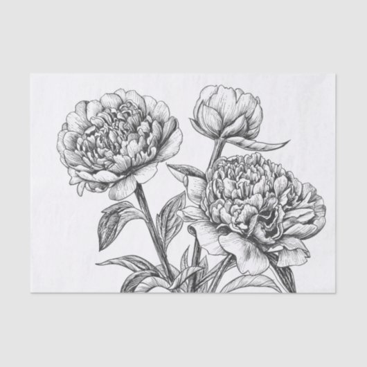 Peony-inkttekening Tissuepapier (Voorkant)