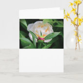 Peony, kaart (Gele Bloem)