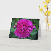 Peony, kaart (Gele Bloem)