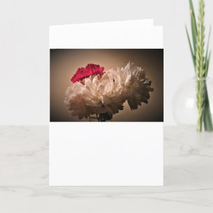 Peony, kaart