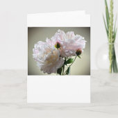 Peony, kaart (Voorkant)