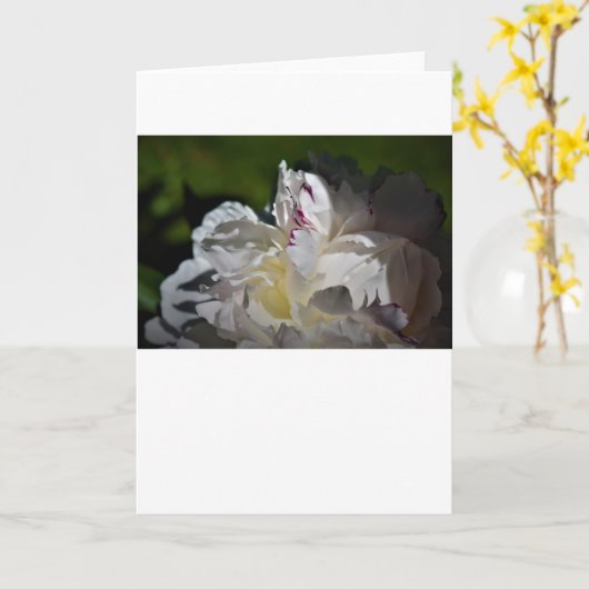 Peony, kaart (Gele Bloem)