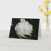 Peony, kaart (Gele Bloem)