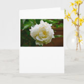 Peony, kaart (Gele Bloem)