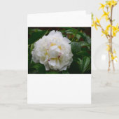 Peony, kaart (Gele Bloem)
