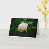Peony, kaart (Gele Bloem)