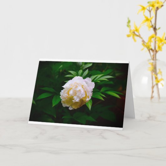 Peony, kaart (Gele Bloem)
