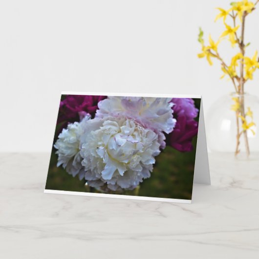 Peony, kaart (Gele Bloem)