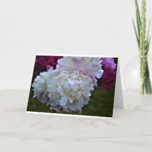 Peony, kaart