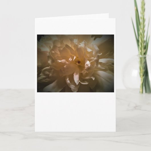 Peony, kaart (Voorkant)