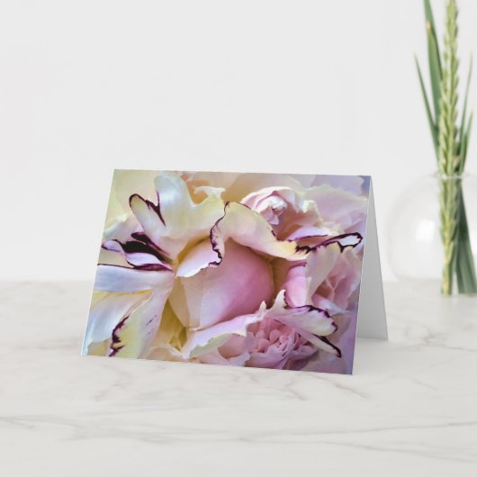 Peony, kaart (Voorkant)