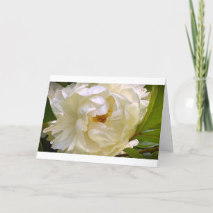 Peony, kaart