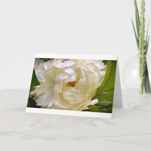 Peony, kaart (Voorkant)