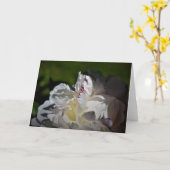 Peony, kaart (Gele Bloem)