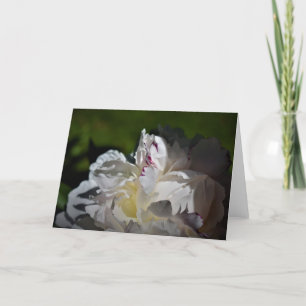 Peony, kaart