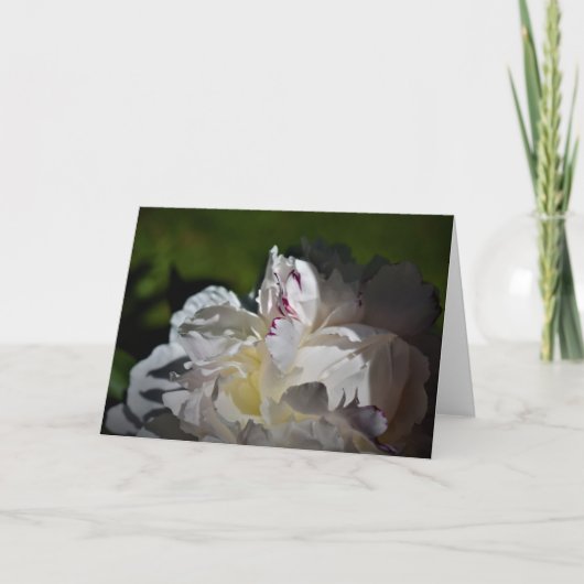 Peony, kaart (Voorkant)