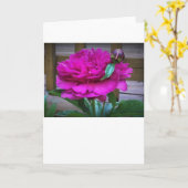 Peony, kaart (Gele Bloem)
