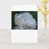 Peony, kaart (Gele Bloem)