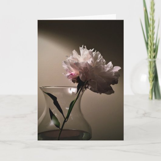 Peony, kaart (Voorkant)