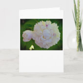 Peony, kaart (Voorkant)