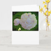 Peony, kaart (Gele Bloem)