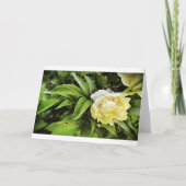 Peony, kaart (Voorkant)