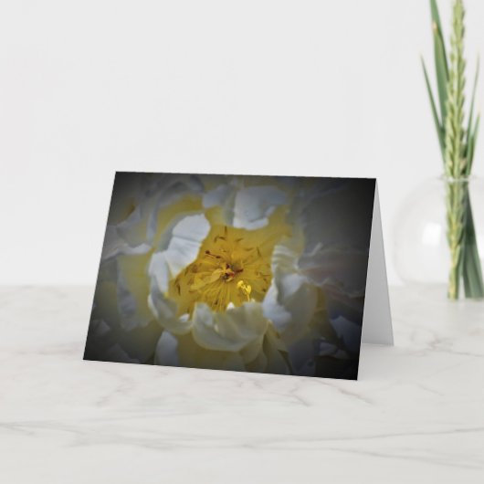 Peony, kaart (Voorkant)